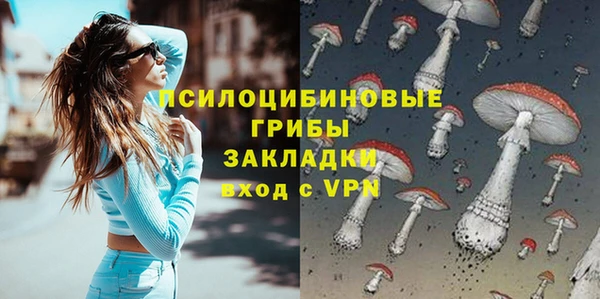 крисы Беломорск