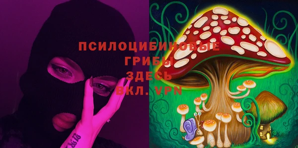дурь Белоозёрский