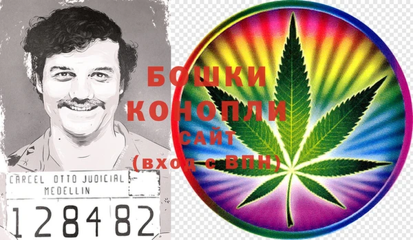 гидропоника Белокуриха